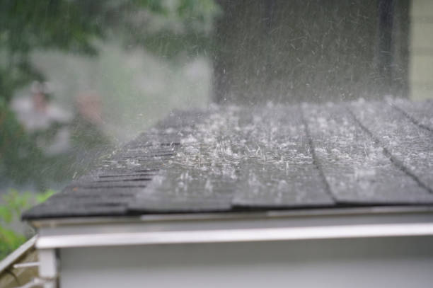 Best Solar Panel Roofing Installation  in Baldwyn, MS