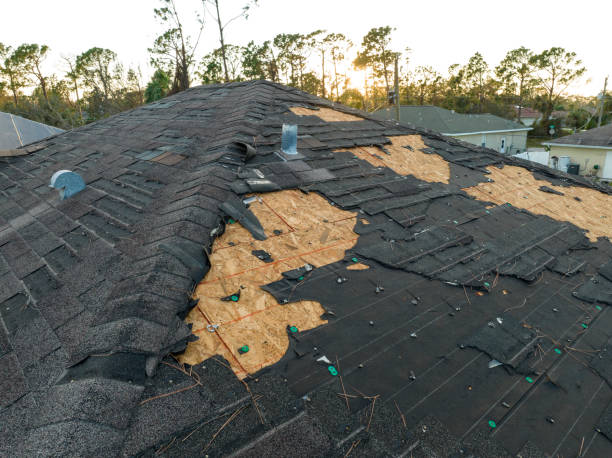 Best Sheet Metal Roofing  in Baldwyn, MS