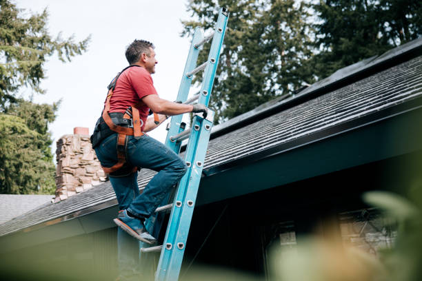 Best Gutter Installation and Repair  in Baldwyn, MS